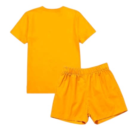 Cotton Blend Half Sleevee Round Neck Gold Color Printed T-Shirt with Short Pant Set for Kids